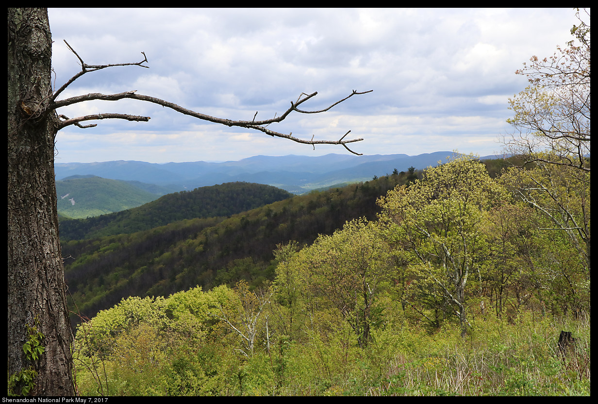 2017May07_Shenandoah_IMG_3375.jpg