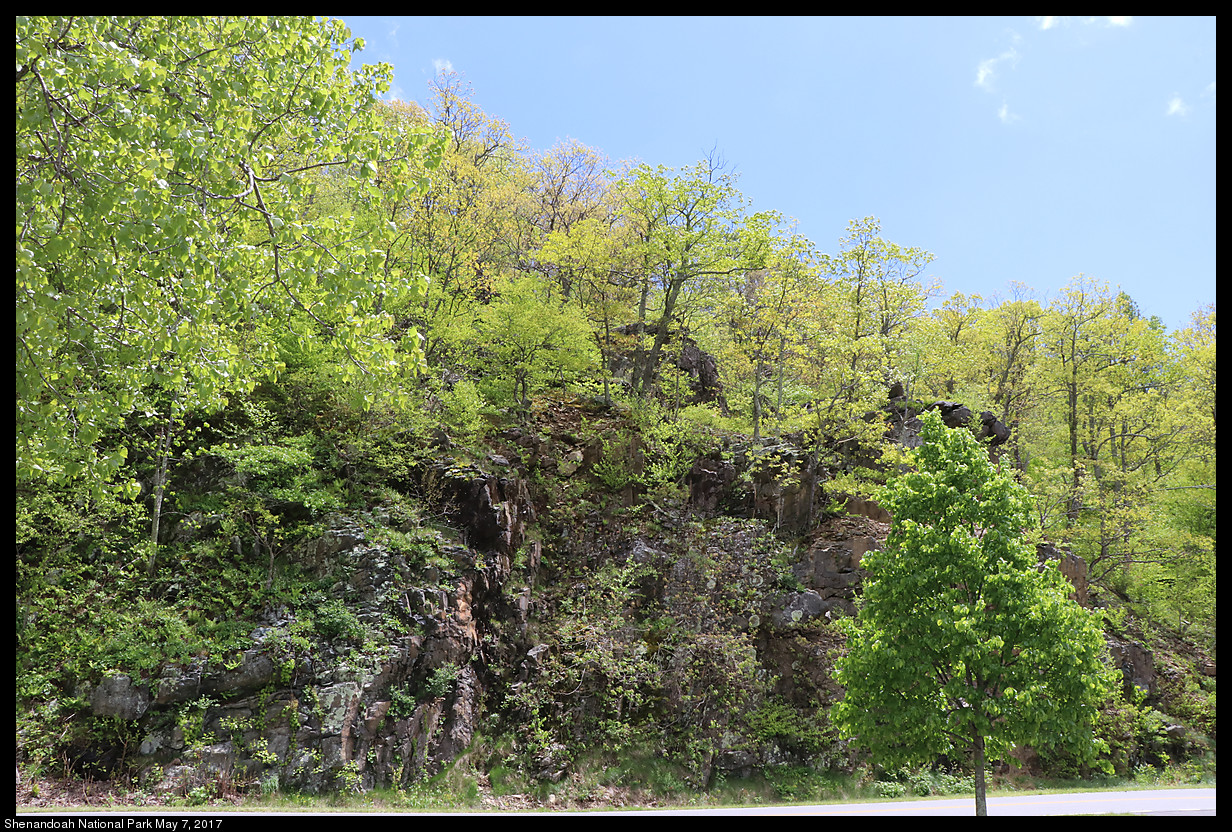 2017May07_Shenandoah_IMG_3406.jpg