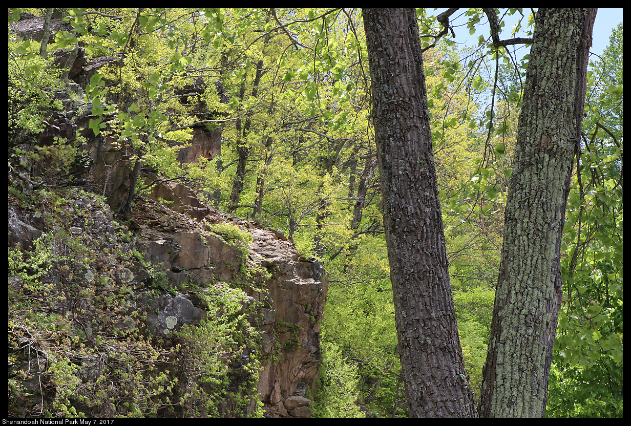 Shenandoah National Park, May 7, 2017