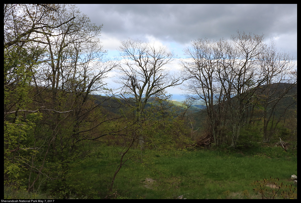 2017May07_Shenandoah_IMG_3518.jpg
