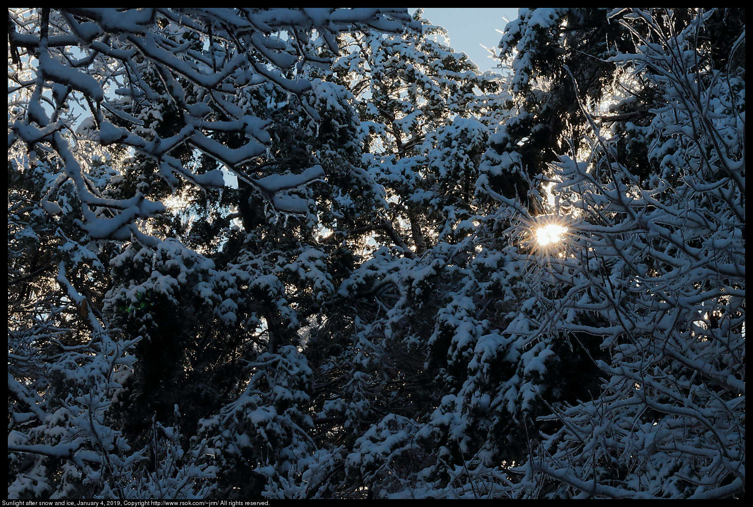 Sunlight after snow and ice, January 4, 2019