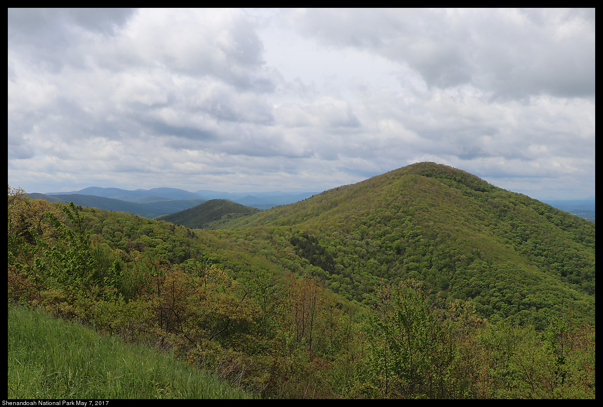 2017May07_Shenandoah_IMG_3294.jpg