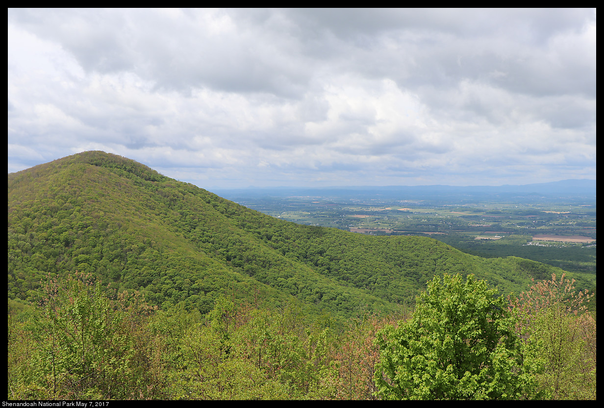 2017May07_Shenandoah_IMG_3295.jpg