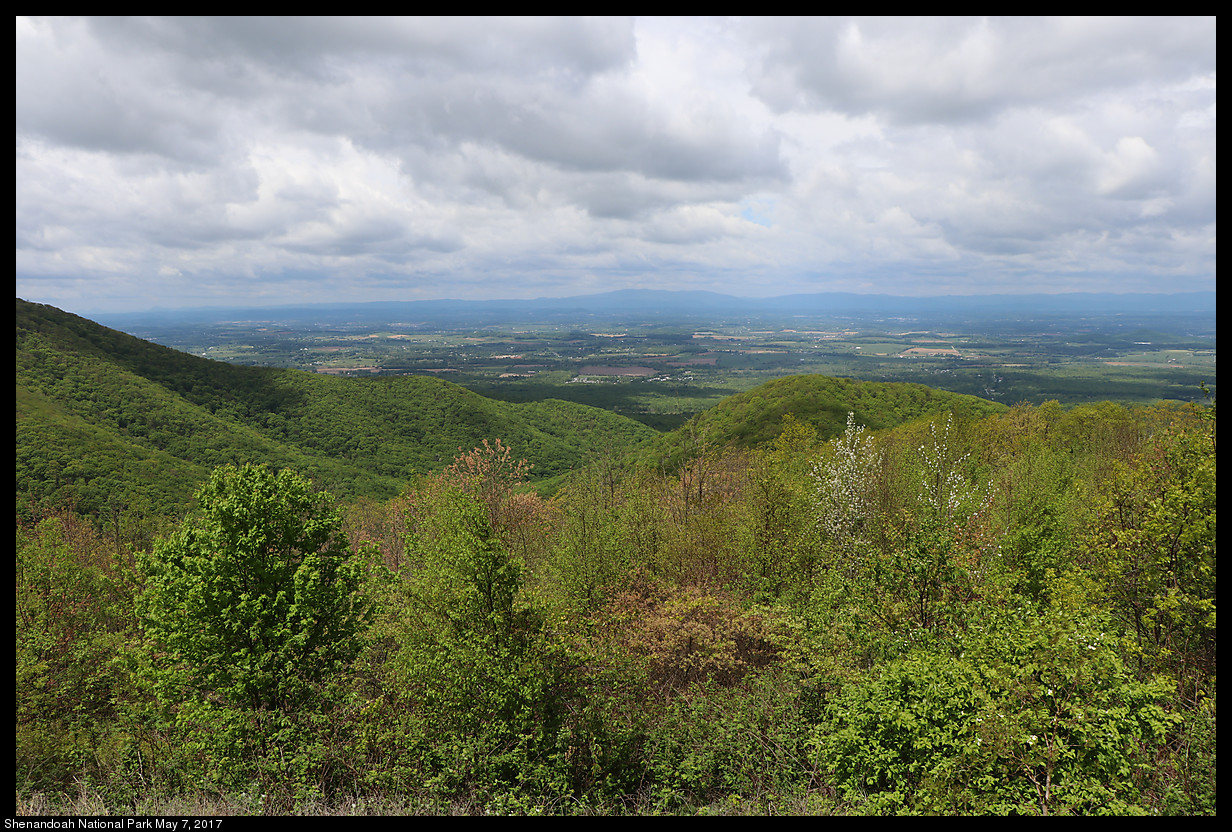 2017May07_Shenandoah_IMG_3296.jpg