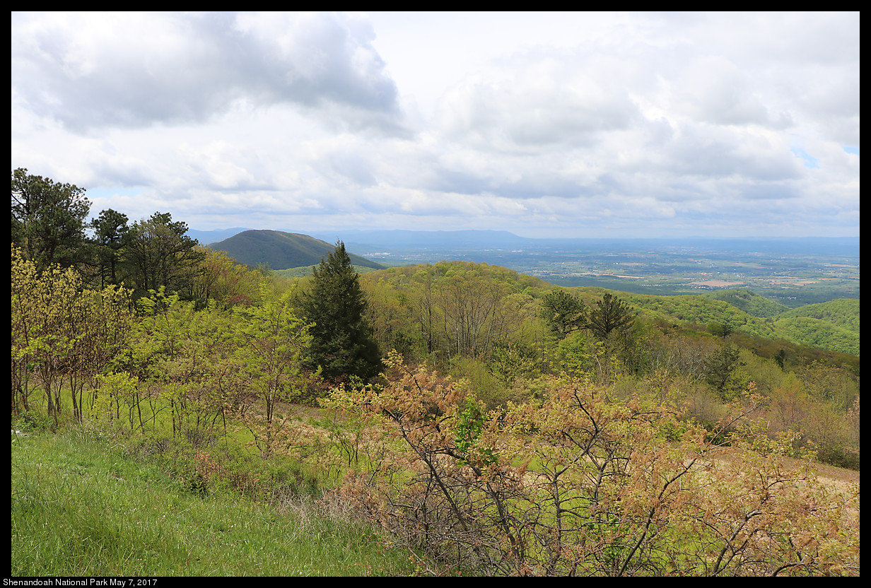 2017May07_Shenandoah_IMG_3305.jpg