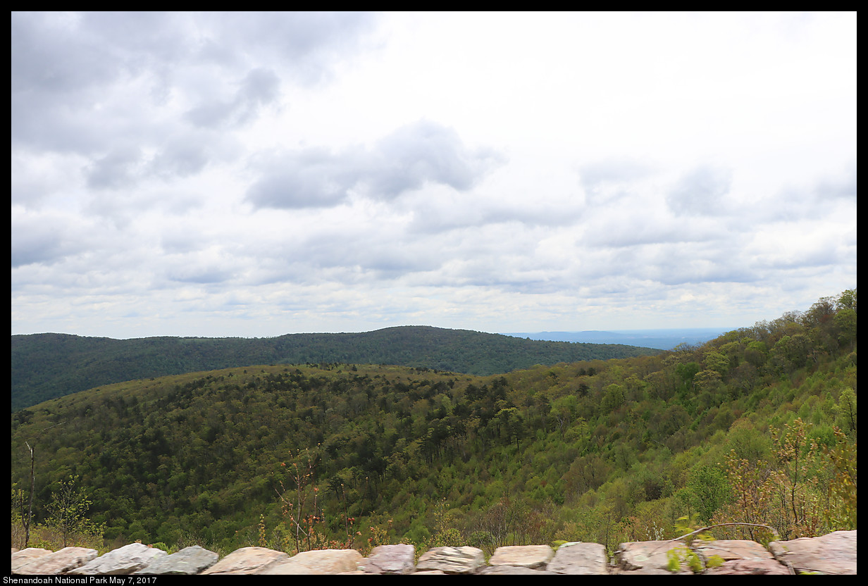 2017May07_Shenandoah_IMG_3309.jpg