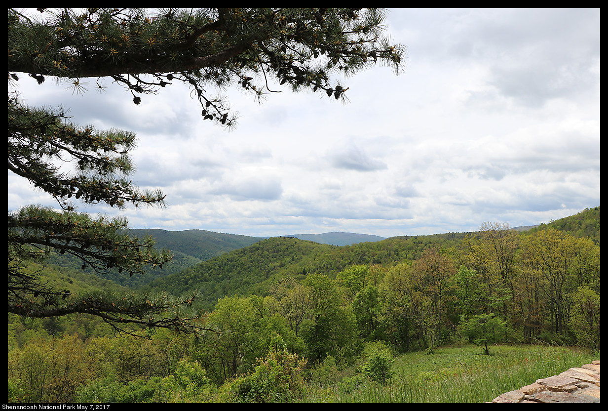 2017May07_Shenandoah_IMG_3325.jpg