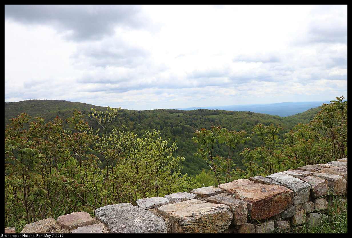 2017May07_Shenandoah_IMG_3330.jpg