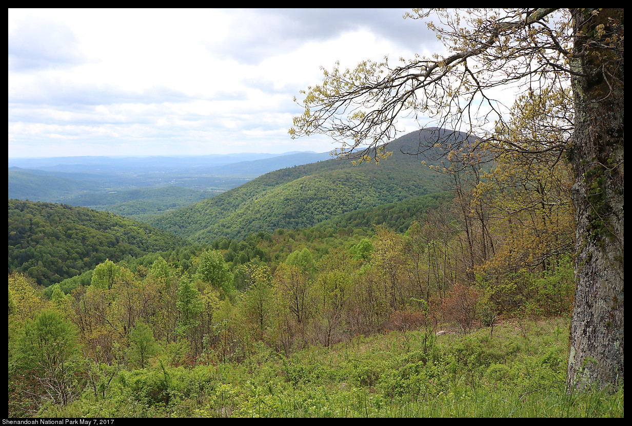 2017May07_Shenandoah_IMG_3335.jpg