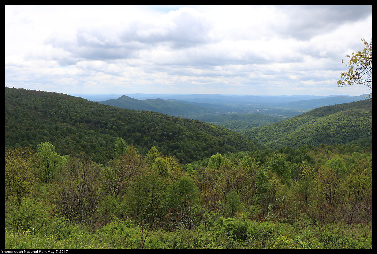 2017May07_Shenandoah_IMG_3336.jpg