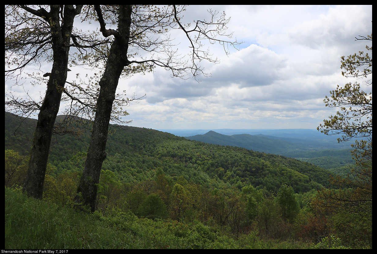 Shenandoah National Park, May 7, 2017