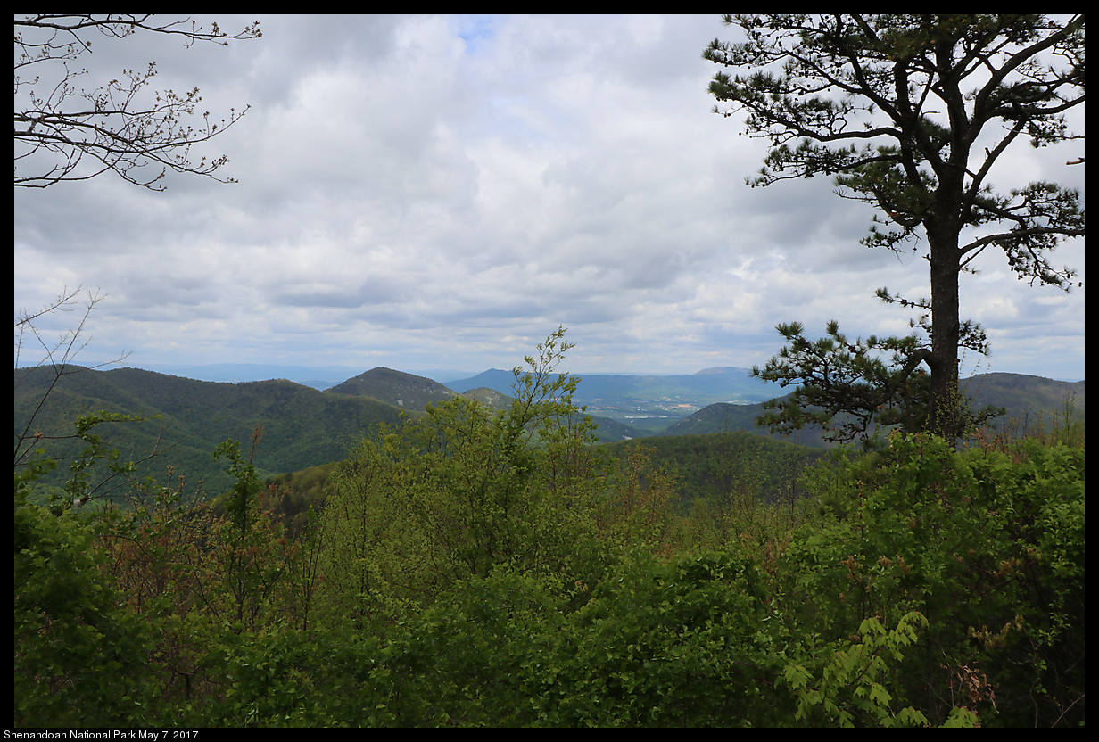 2017May07_Shenandoah_IMG_3346.jpg