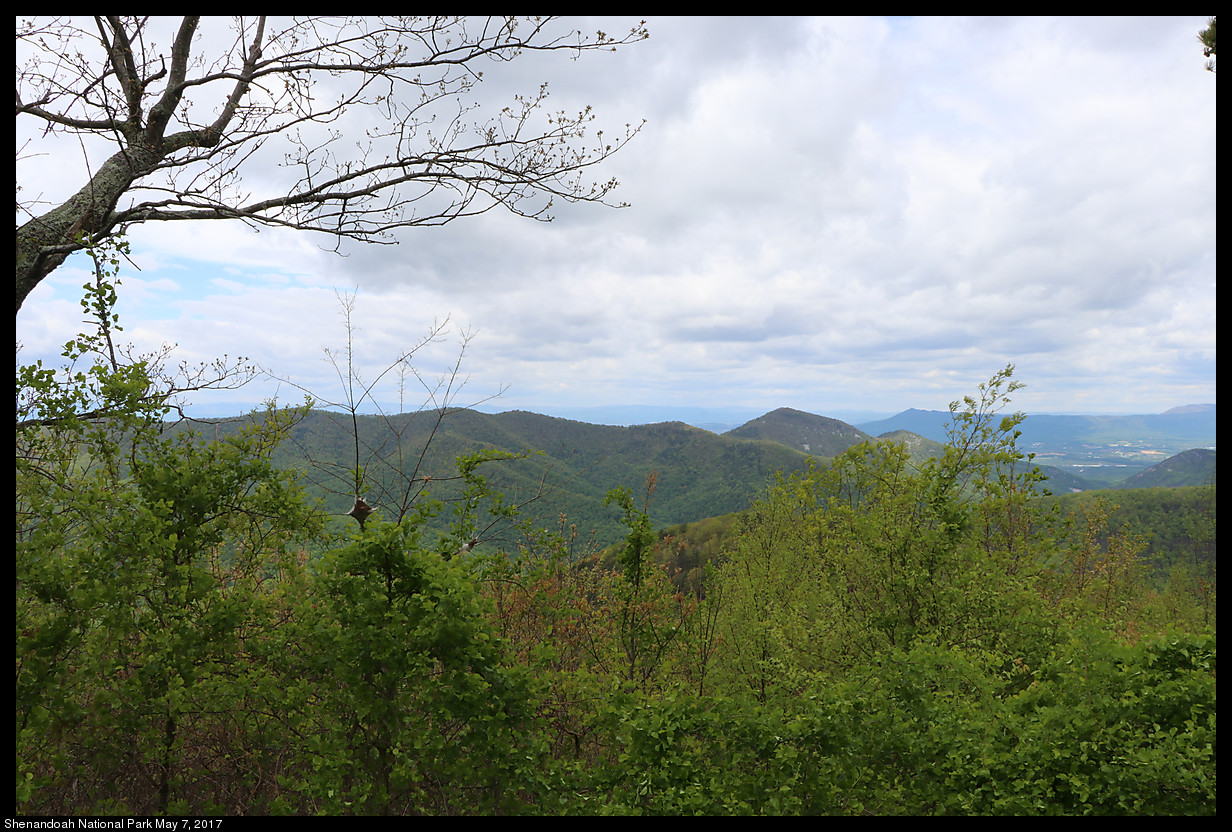 2017May07_Shenandoah_IMG_3347.jpg