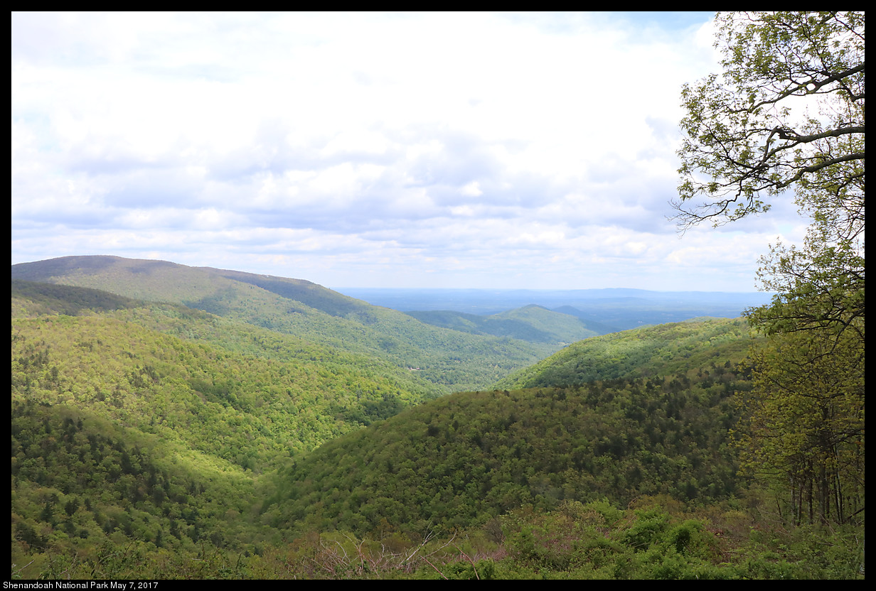 2017May07_Shenandoah_IMG_3357.jpg