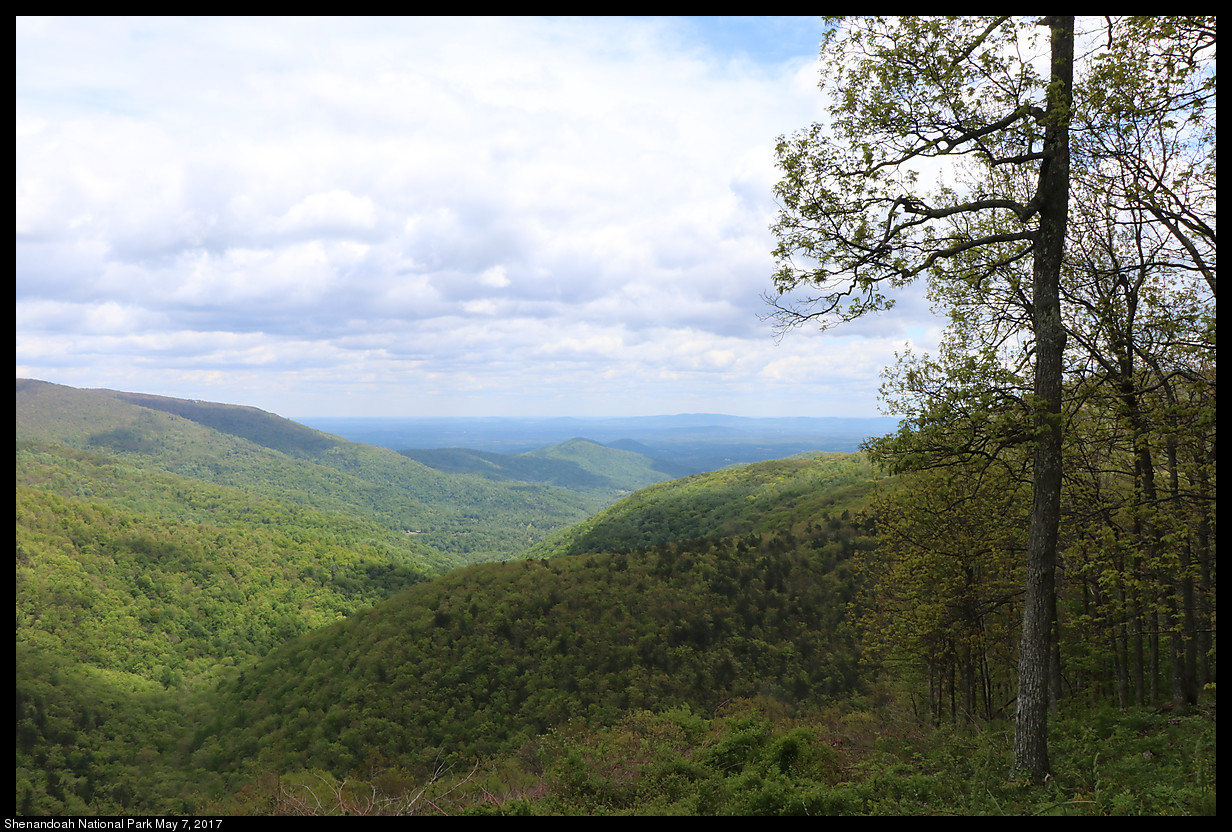 2017May07_Shenandoah_IMG_3358.jpg