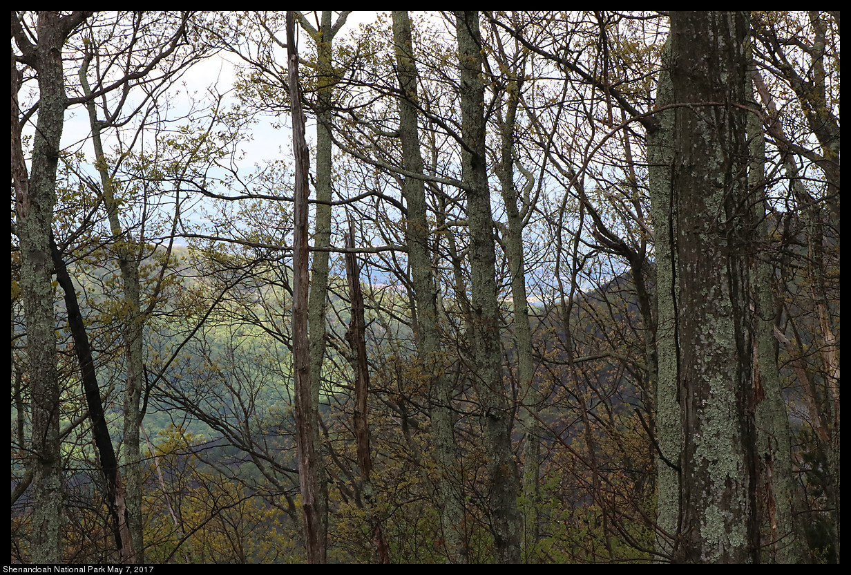 Shenandoah National Park, May 7, 2017