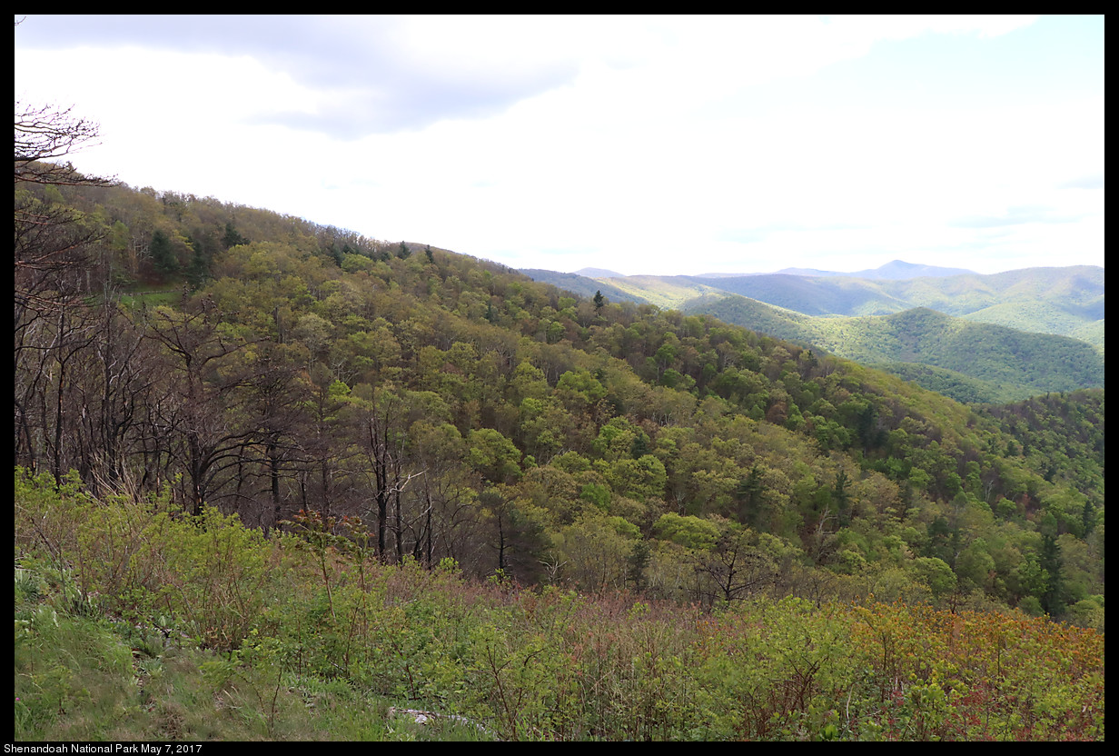 2017May07_Shenandoah_IMG_3368.jpg