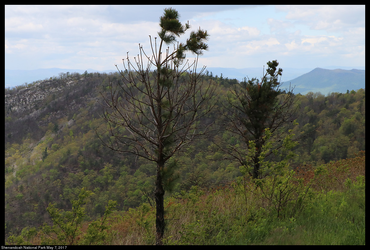 2017May07_Shenandoah_IMG_3370.jpg