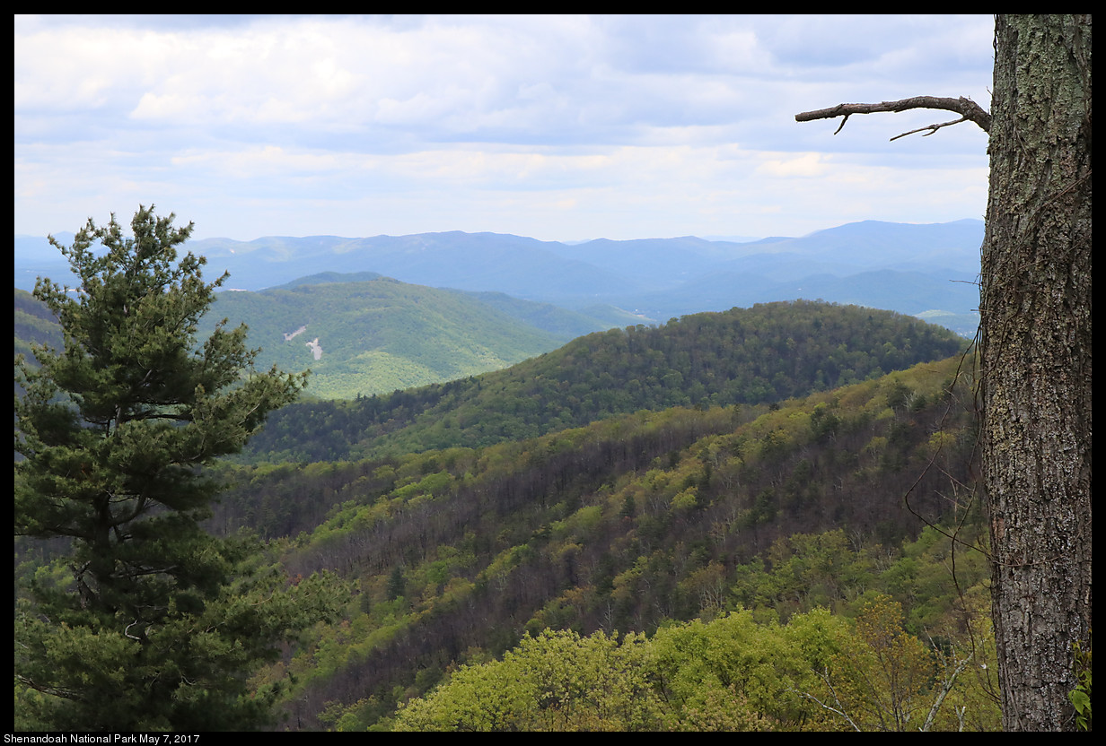 2017May07_Shenandoah_IMG_3372.jpg