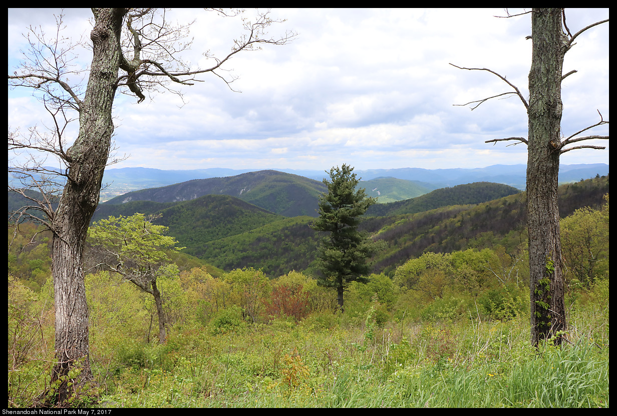 2017May07_Shenandoah_IMG_3374.jpg