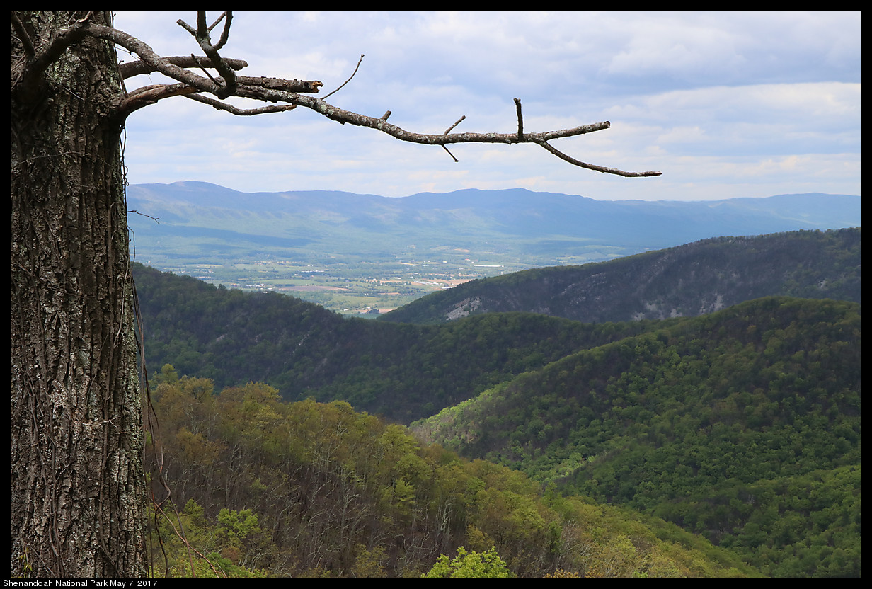 2017May07_Shenandoah_IMG_3376.jpg