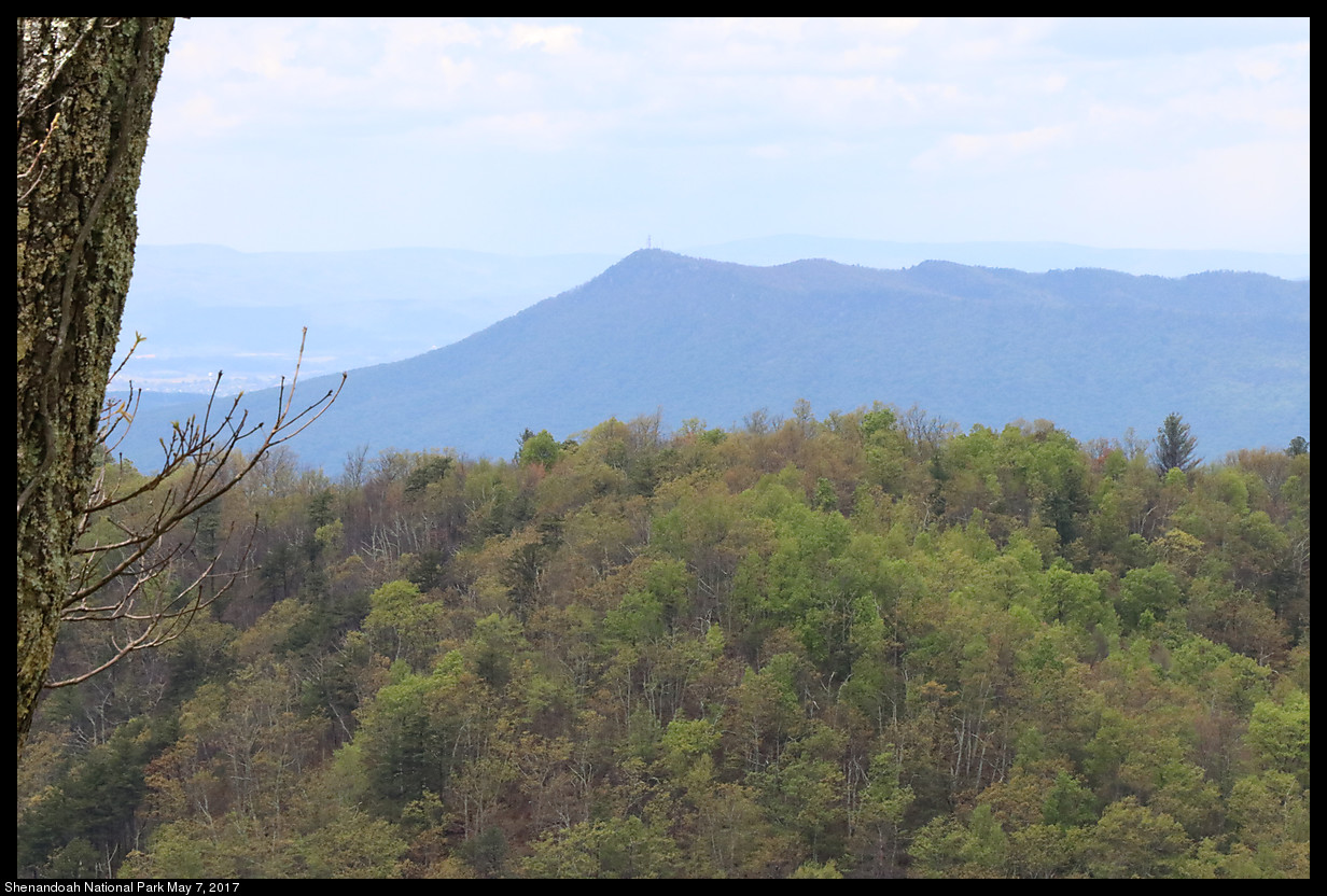 2017May07_Shenandoah_IMG_3377.jpg