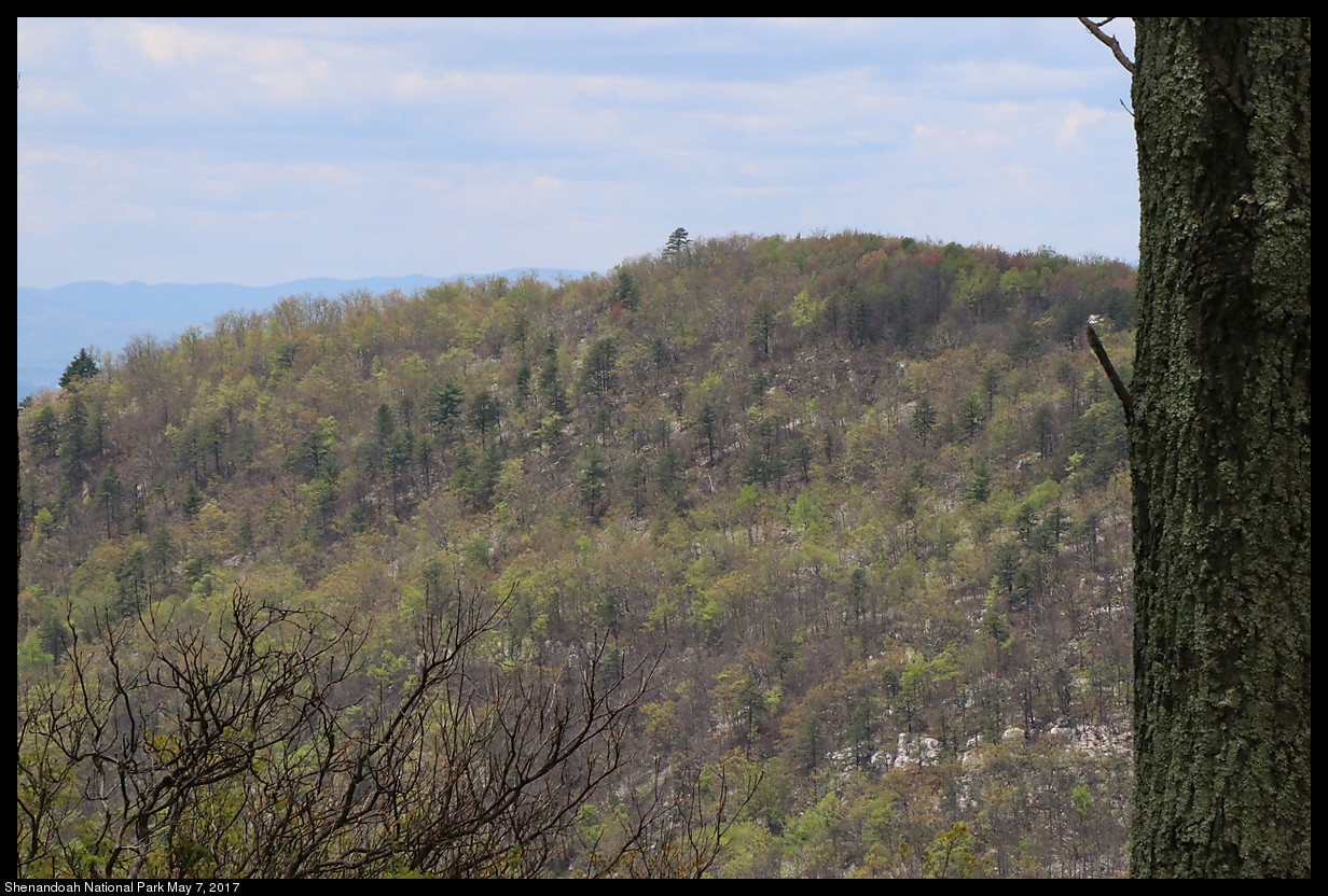 2017May07_Shenandoah_IMG_3379.jpg