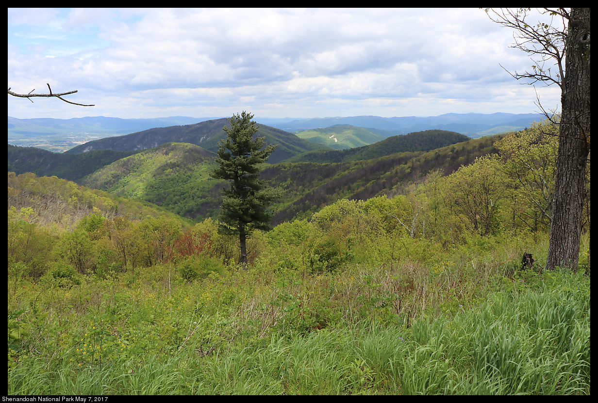 2017May07_Shenandoah_IMG_3380.jpg