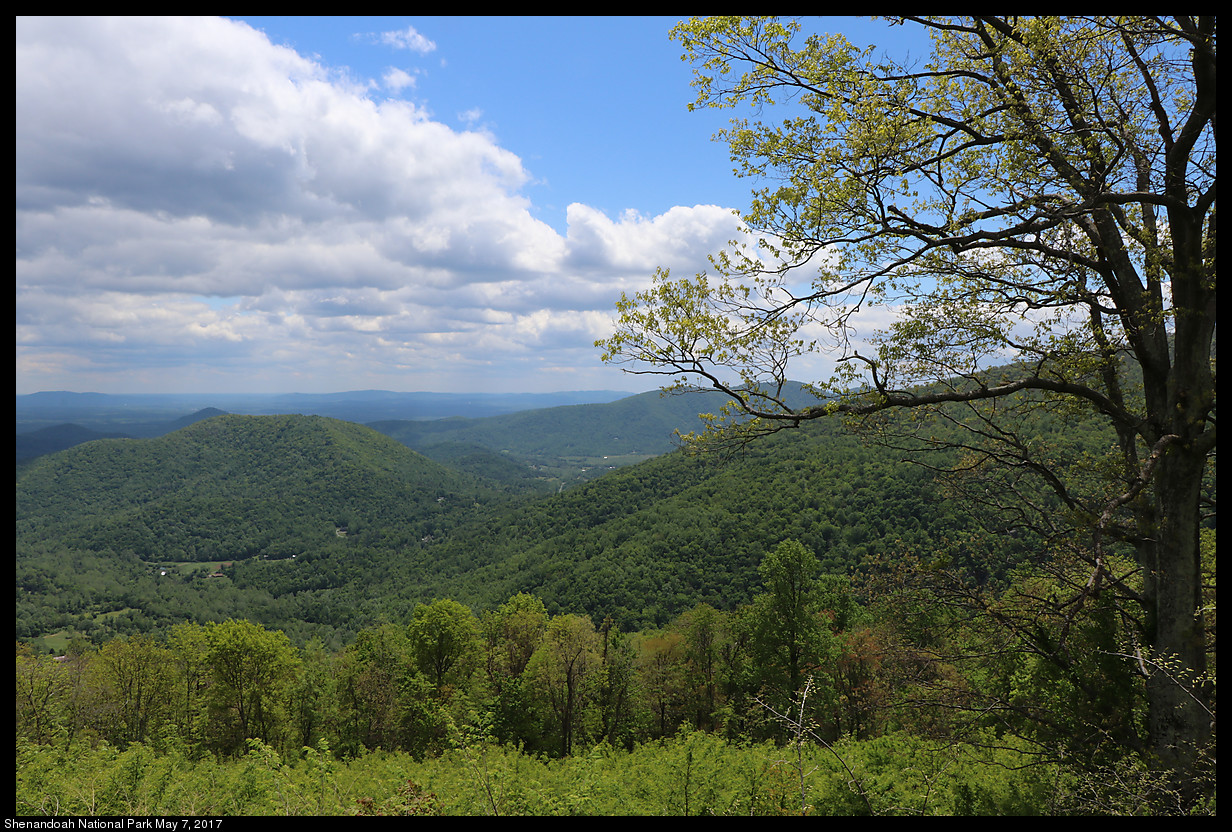 2017May07_Shenandoah_IMG_3387.jpg