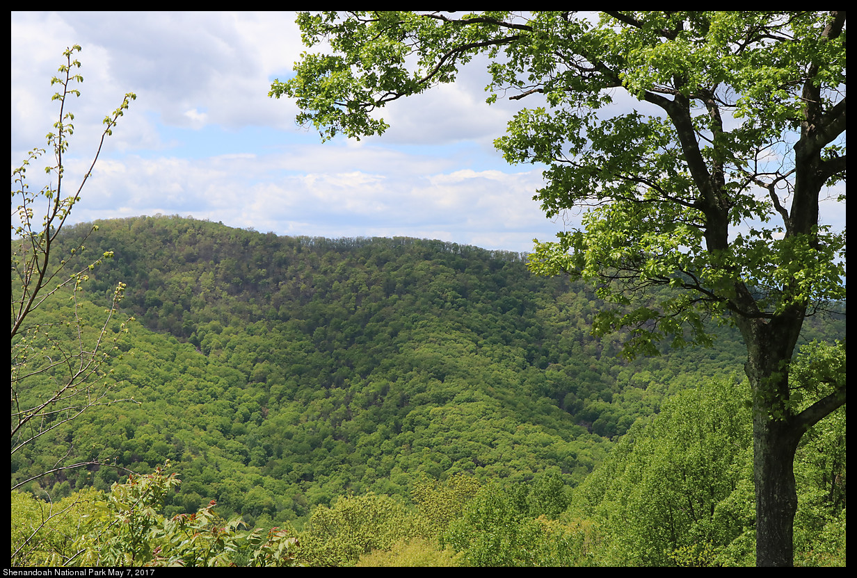 2017May07_Shenandoah_IMG_3390.jpg