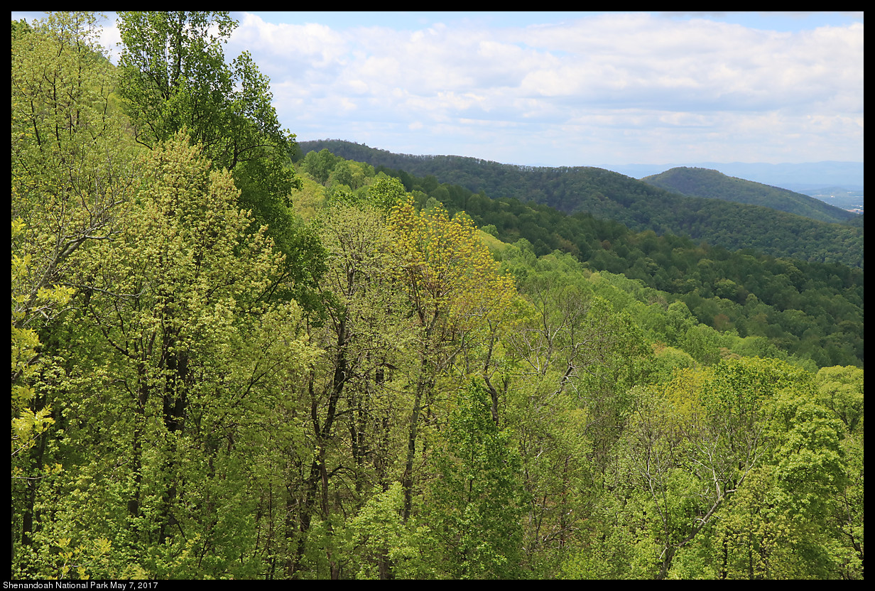 2017May07_Shenandoah_IMG_3407.jpg