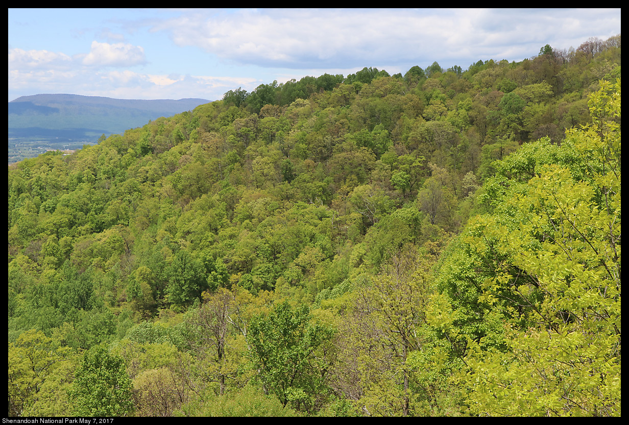 2017May07_Shenandoah_IMG_3408.jpg