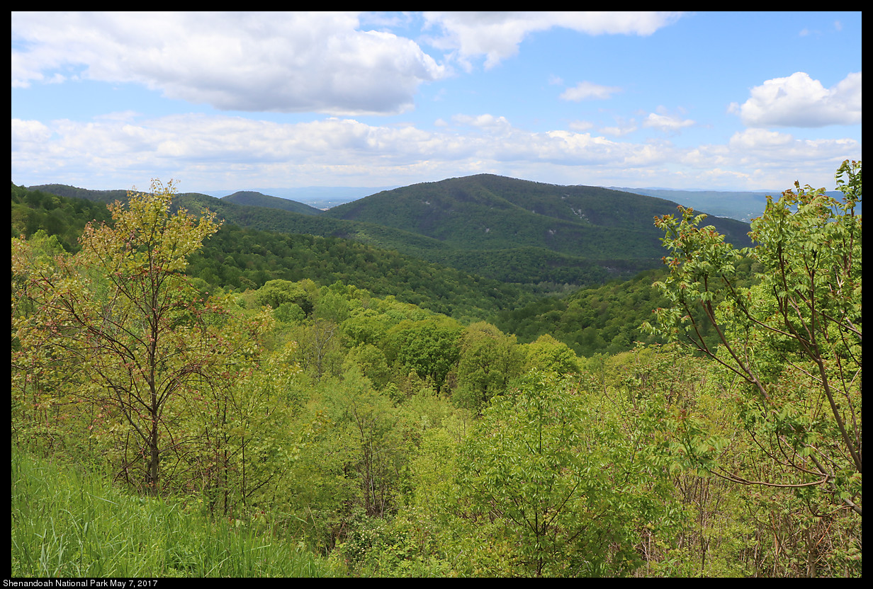 2017May07_Shenandoah_IMG_3412.jpg