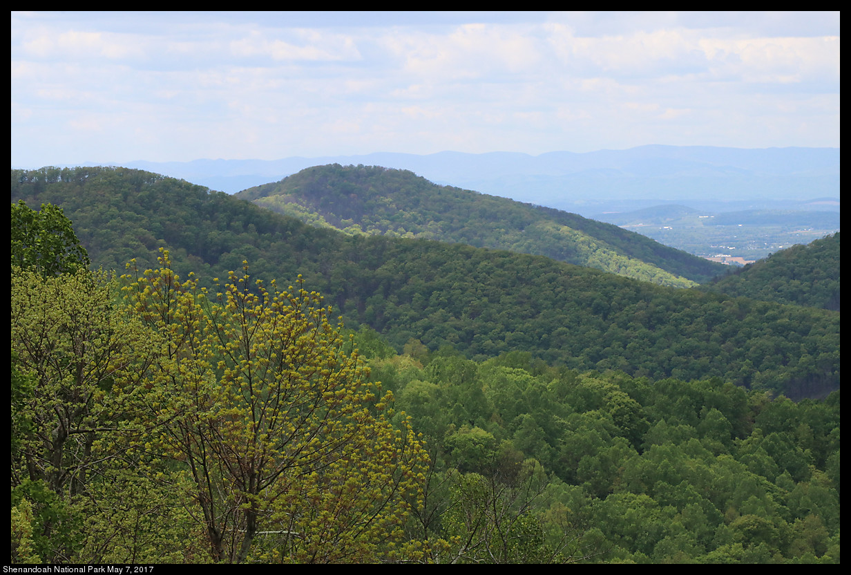 2017May07_Shenandoah_IMG_3417.jpg