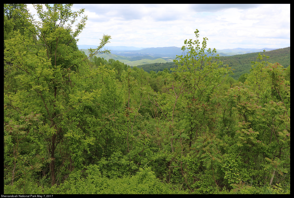 2017May07_Shenandoah_IMG_3420.jpg