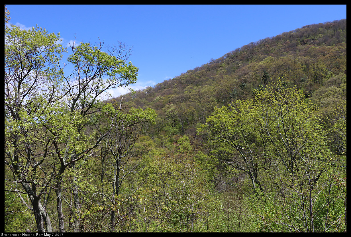 2017May07_Shenandoah_IMG_3438.jpg