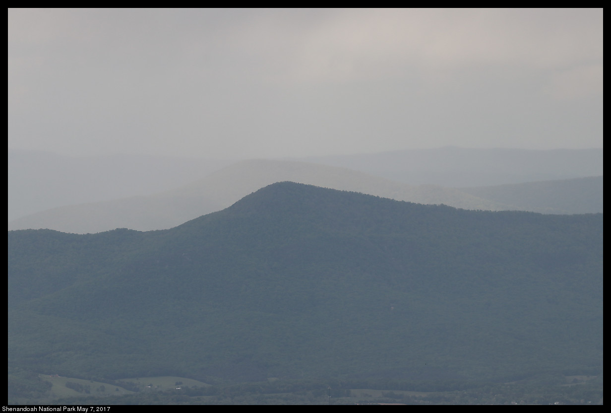 2017May07_Shenandoah_IMG_3500.jpg