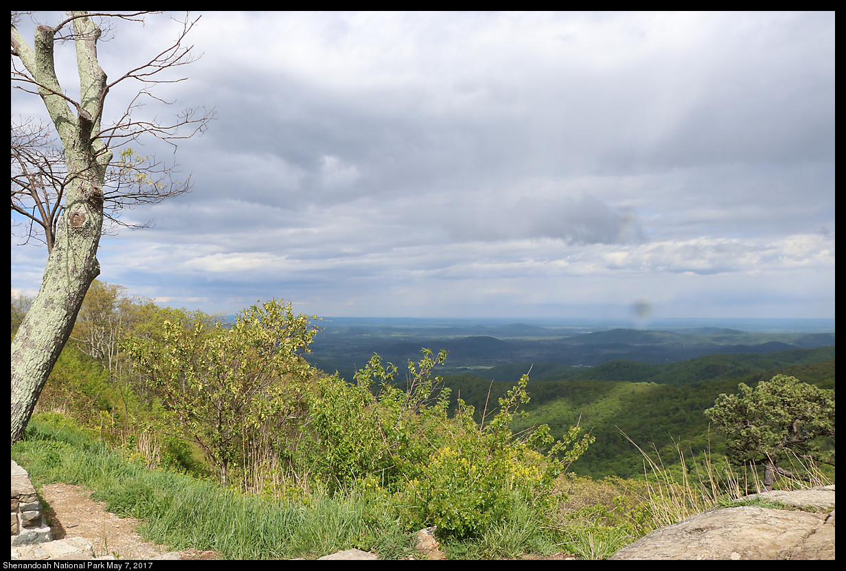 2017May07_Shenandoah_IMG_3533.jpg