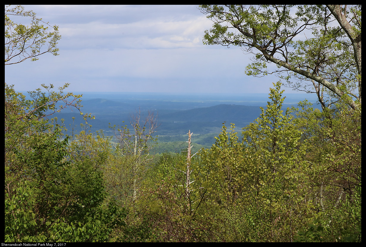 2017May07_Shenandoah_IMG_3543.jpg