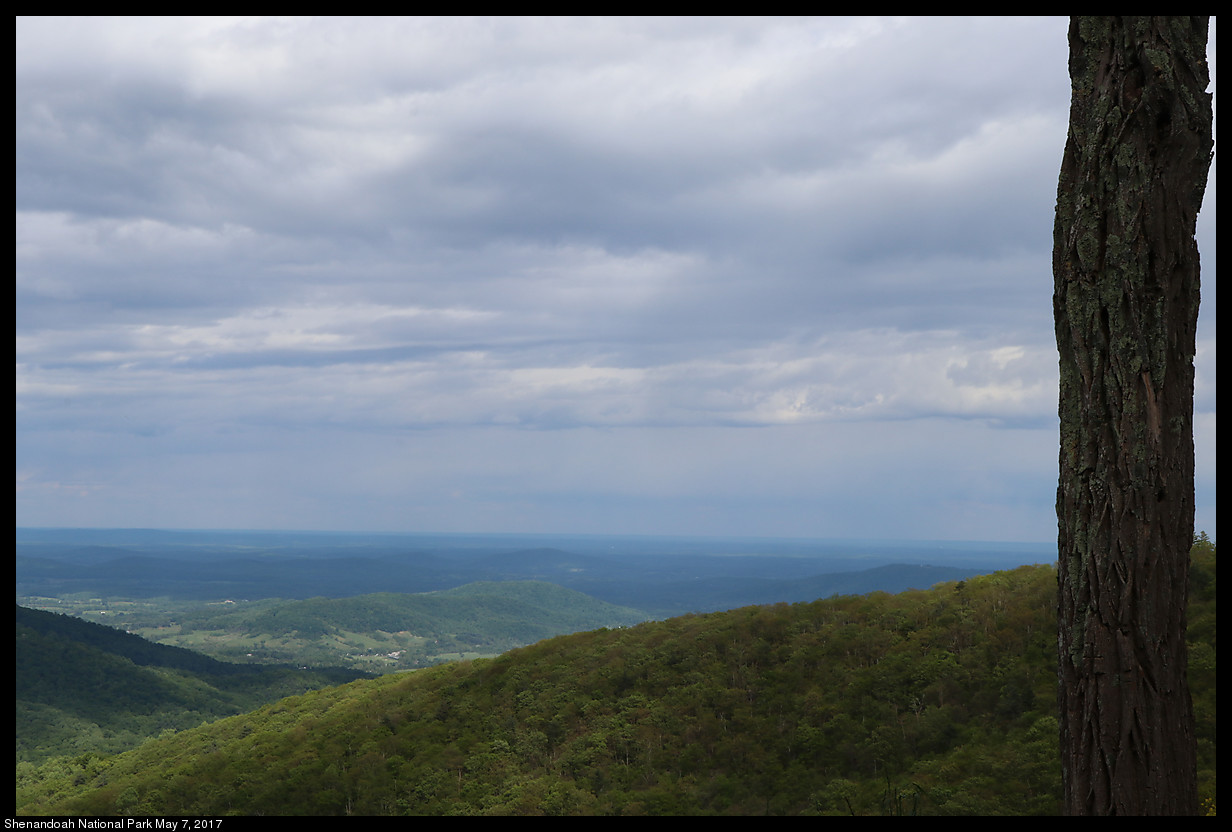 2017May07_Shenandoah_IMG_3547.jpg