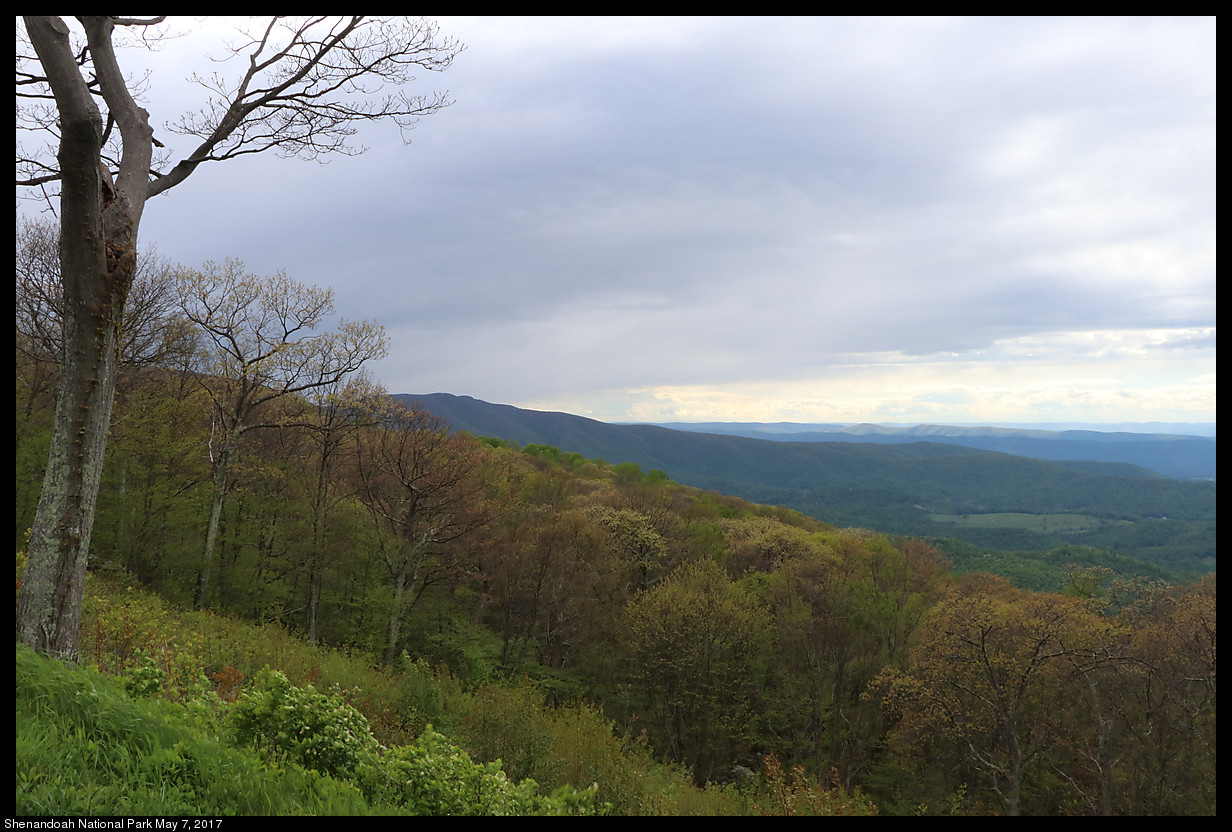 2017May07_Shenandoah_IMG_3564.jpg