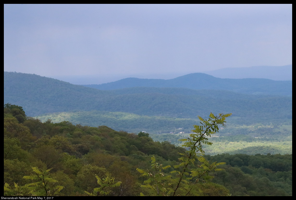 2017May07_Shenandoah_IMG_3574.jpg