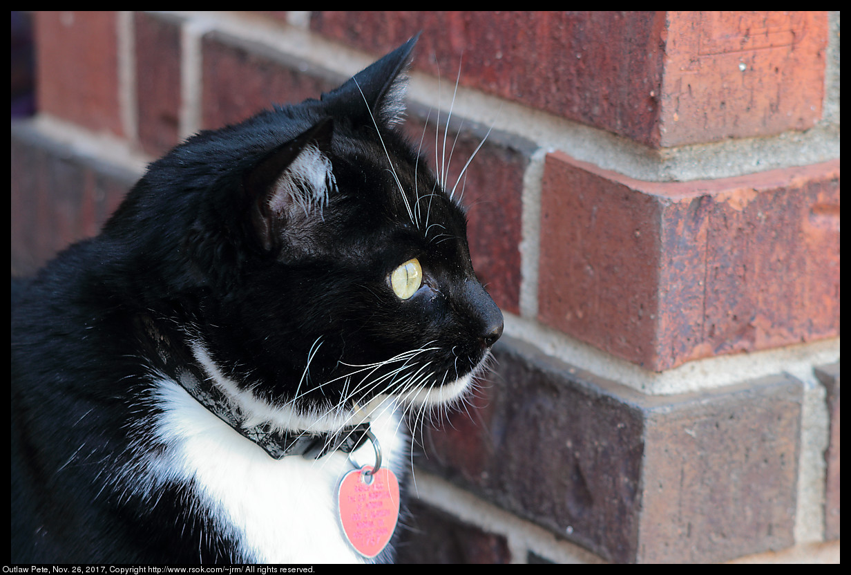 2017nov26_pete_IMG_8239c.jpg