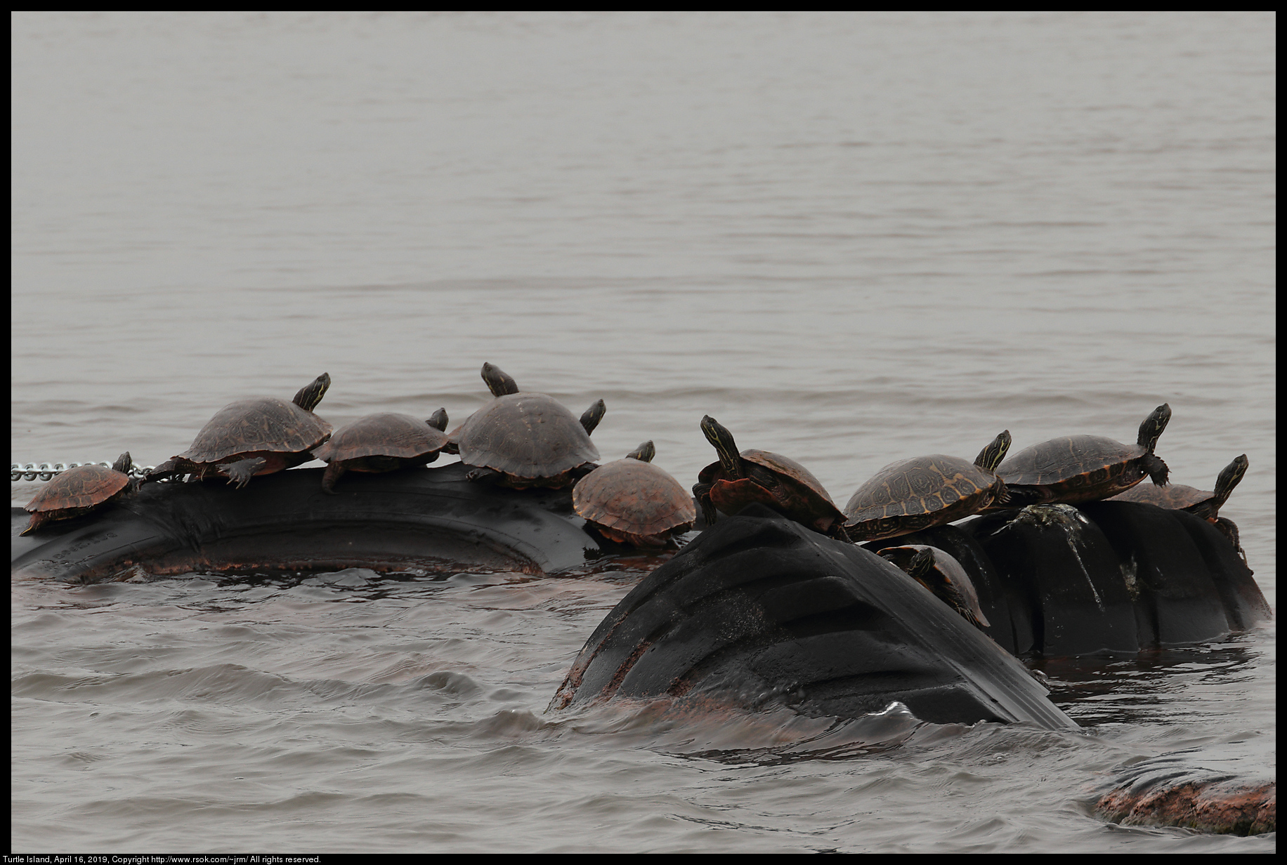 Turtle Island, April 16, 2019