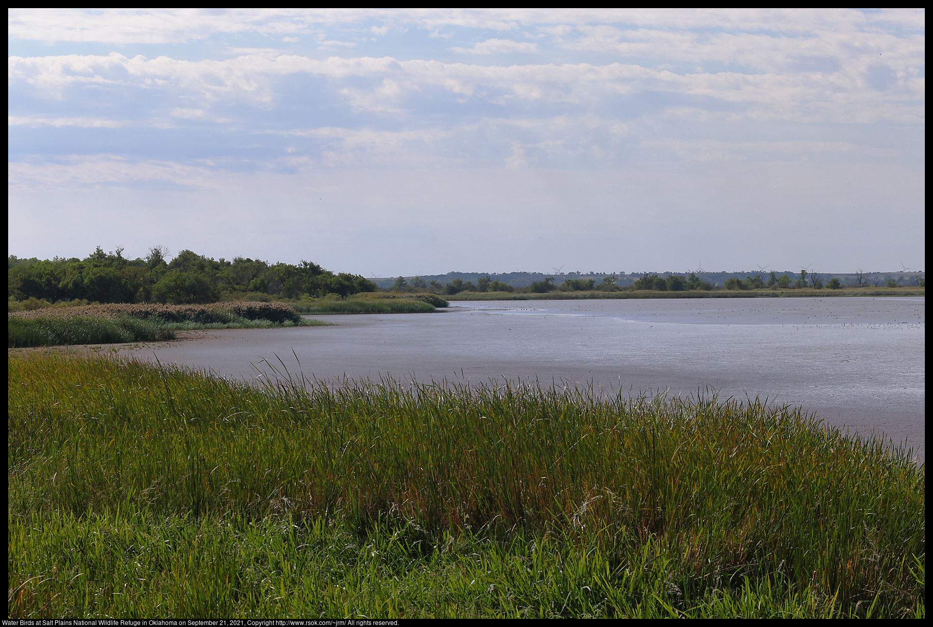 Water Birds at Salt Plains National Wildlife Refuge in Oklahoma on September 21, 2021