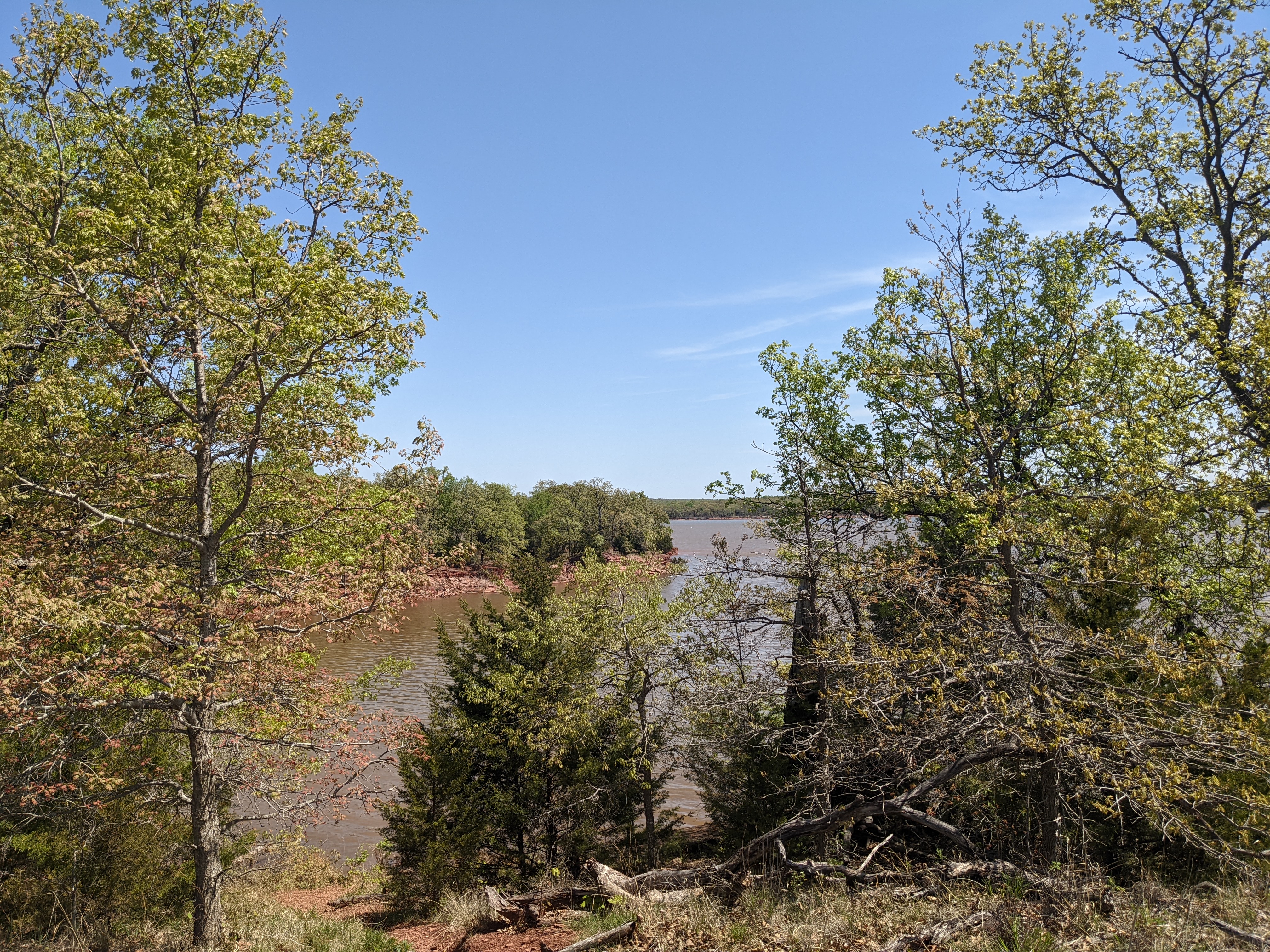 Spring foliage at Lake Thunderbird in Norman, Oklahoma